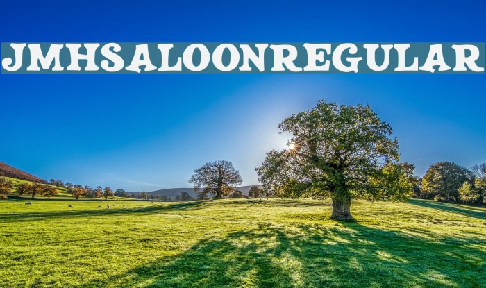 JMHSALOON-Regular Font examples