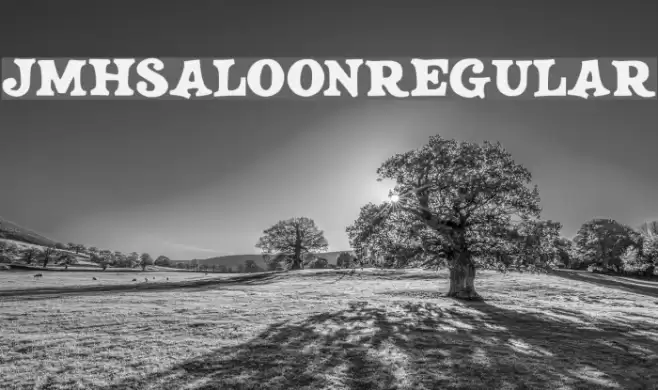 JMHSALOON-Regular Font examples