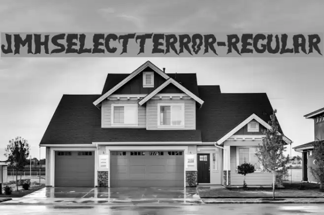 JMHSELECTTERROR-Regular Polices examples