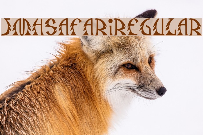 JMHSafari-Regular Font examples