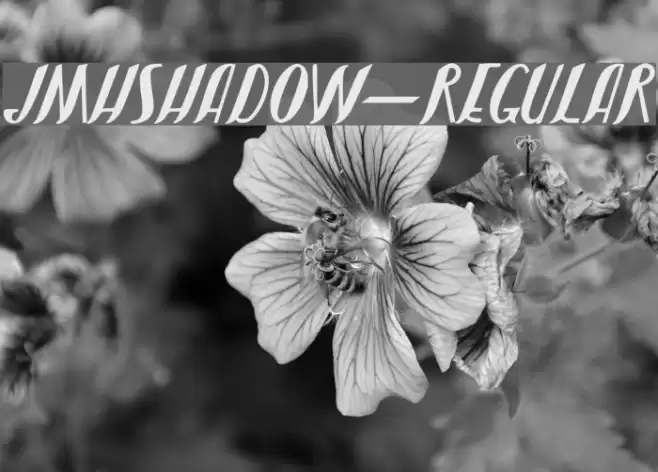 JMHShadow-Regular Fonte examples