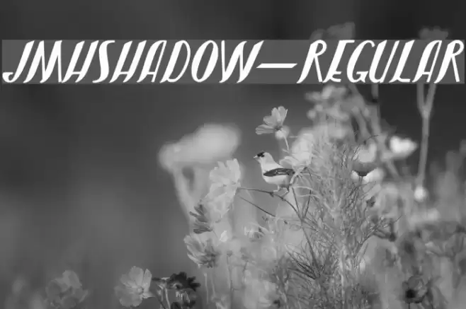 JMHShadow-Regular Fonte examples