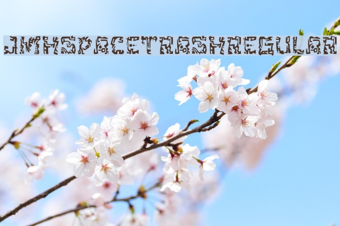 JMHSpaceTrash-Regular Example 1