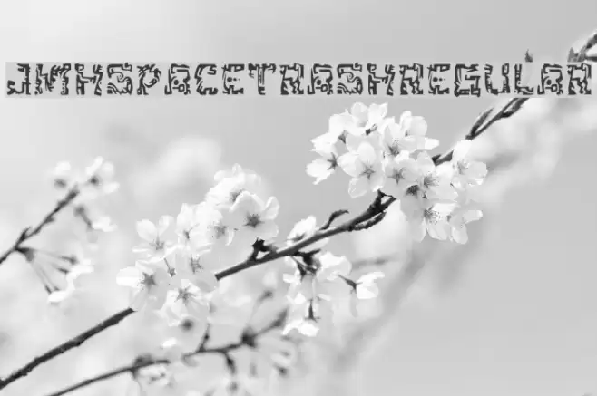 JMHSpaceTrash-Regular Font examples
