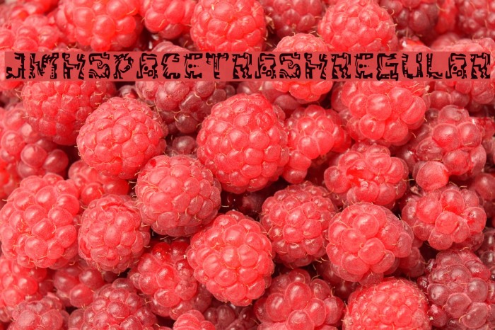 JMHSpaceTrash-Regular Example 3