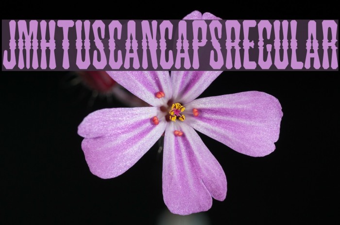 JMHTuscanCAPS-Regular Example 1