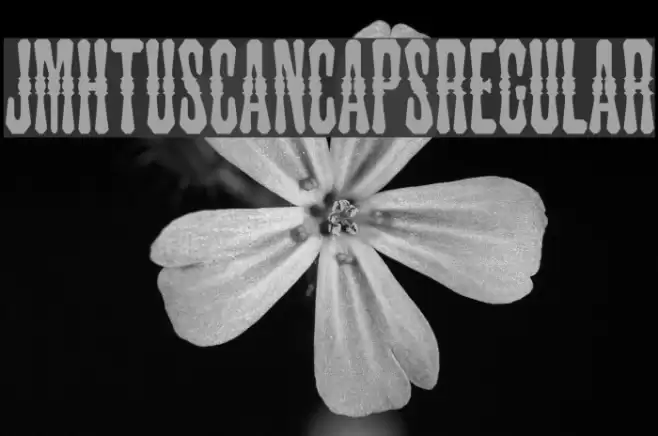 JMHTuscanCAPS-Regular Font examples