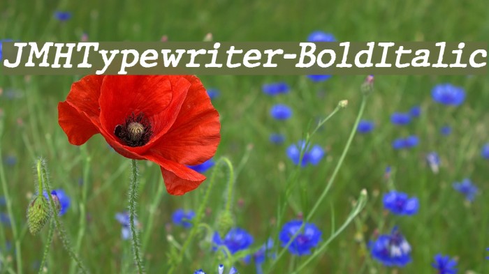 JMHTypewriter-BoldItalic Font examples