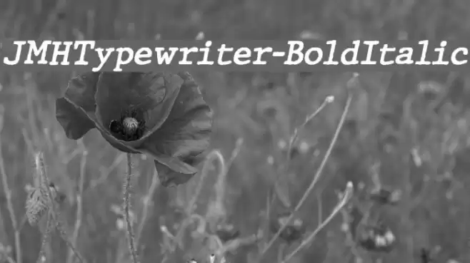 JMHTypewriter-BoldItalic Font examples