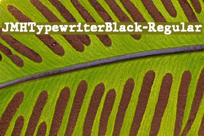 JMHTypewriterBlack-Regular Example 2