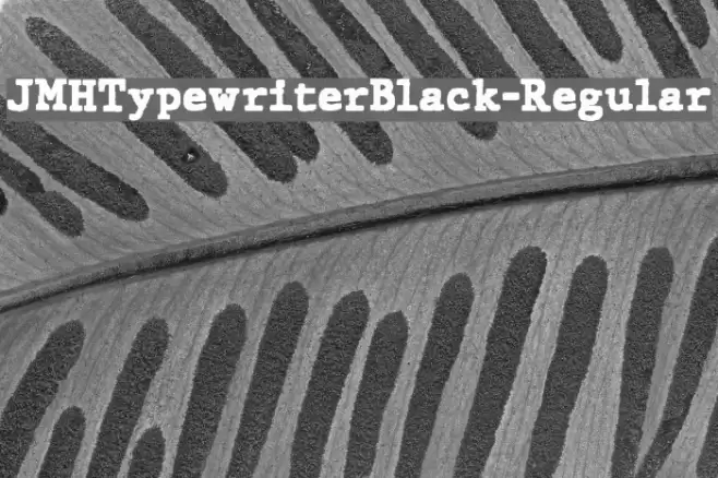 JMHTypewriterBlack-Regular Font examples