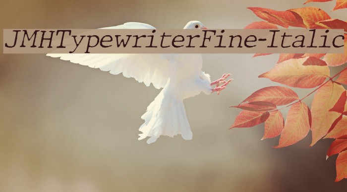 JMHTypewriterFine-Italic Font examples