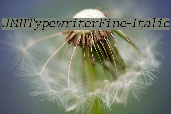 JMHTypewriterFine-Italic Font examples