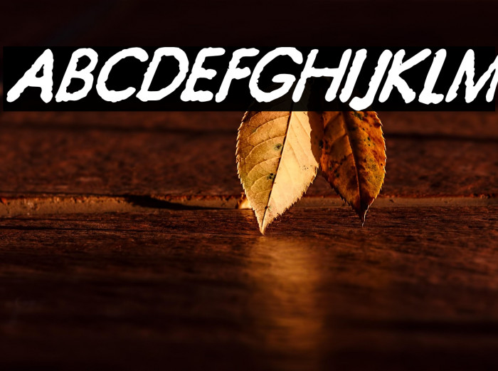 JMHTypewriterSans-BoldItalic Example 2