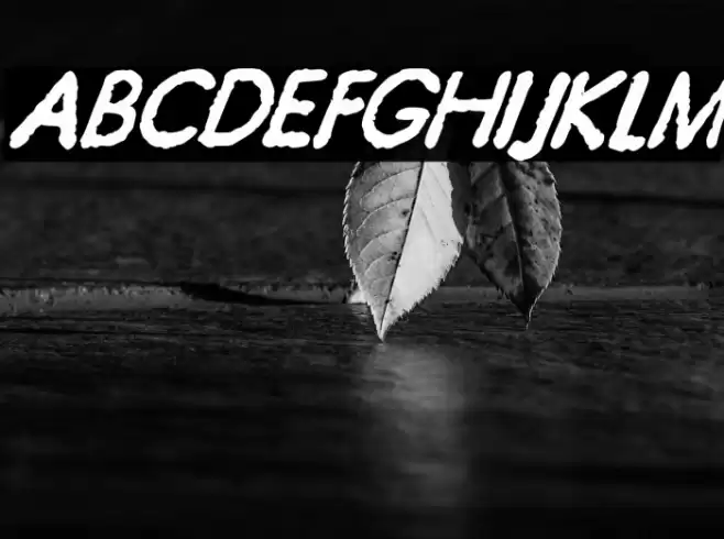 JMHTypewriterSans-BoldItalic Font examples