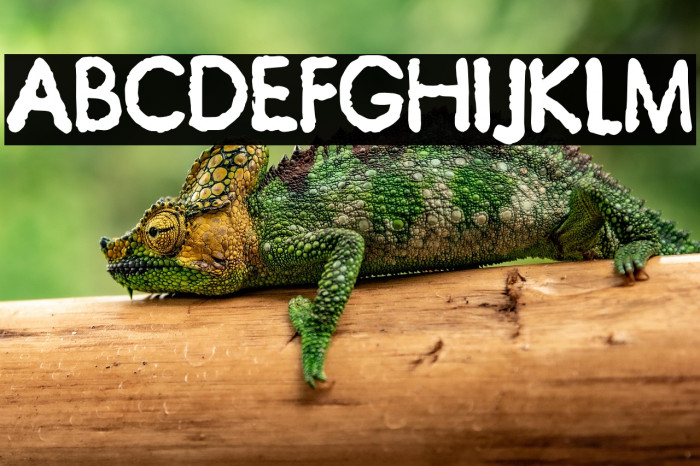 JMHTypewriterSans-Bold Example 1