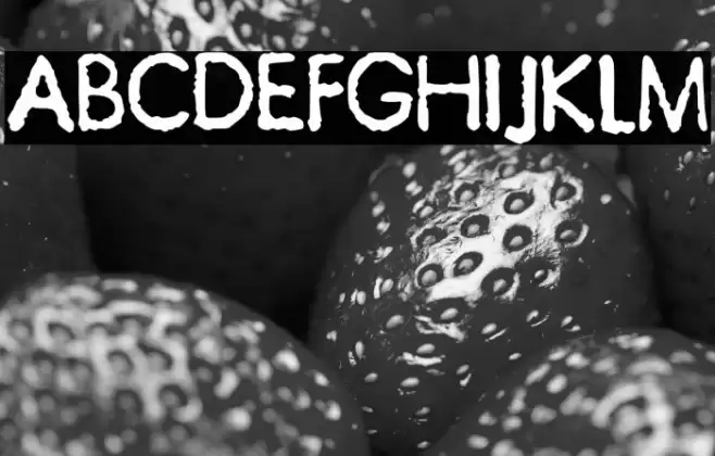 JMHTypewriterSans-Regular Font examples