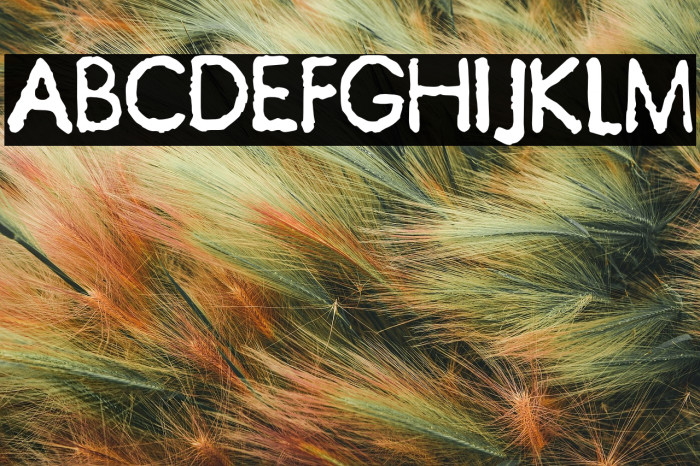 JMHTypewriterSans-Regular Example 3