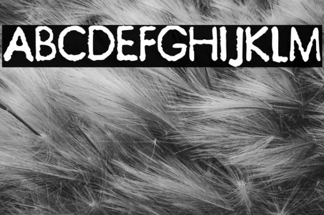 JMHTypewriterSans-Regular Font examples