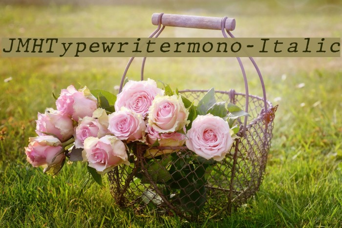 JMHTypewritermono-Italic फ़ॉन्ट examples