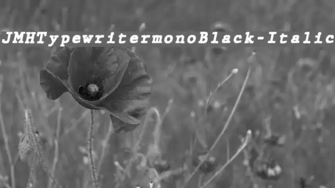 JMHTypewritermonoBlack-Italic Schriftart examples