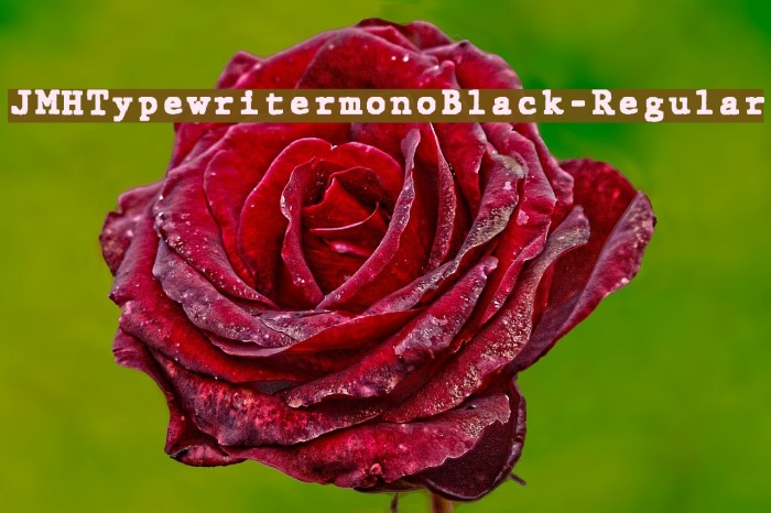 JMHTypewritermonoBlack-Regular Font examples