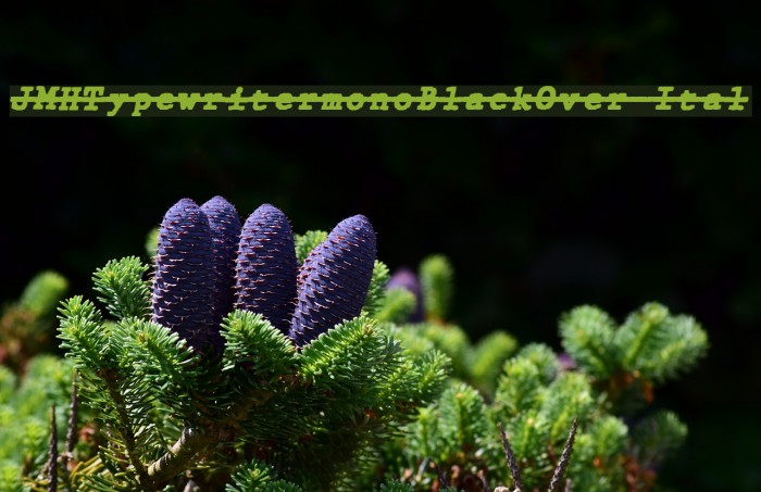 JMHTypewritermonoBlackOver-Ital Font examples