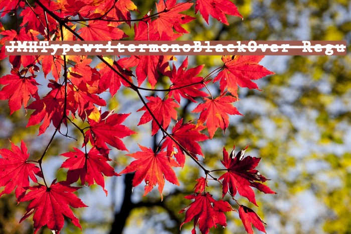 JMHTypewritermonoBlackOver-Regu फ़ॉन्ट examples