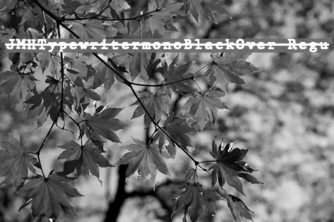 JMHTypewritermonoBlackOver-Regu Font examples