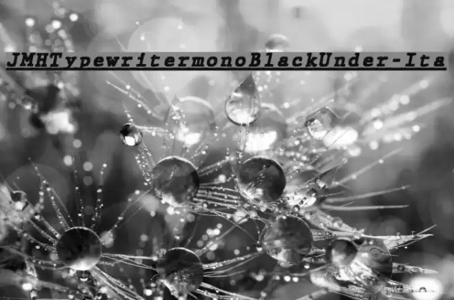 JMHTypewritermonoBlackUnder-Ita Font examples