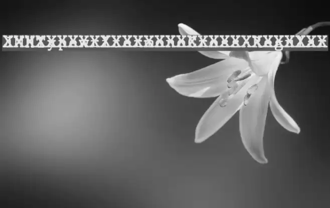 JMHTypewritermonoCross-Regular Font examples