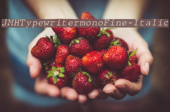 JMHTypewritermonoFine-Italic Font examples