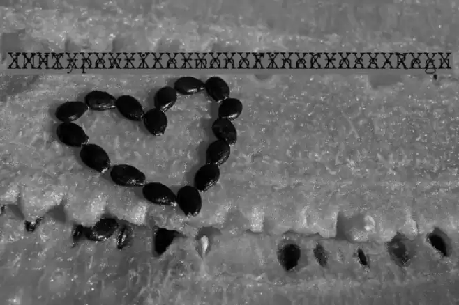 JMHTypewritermonoFineCross-Regu Fuentes examples