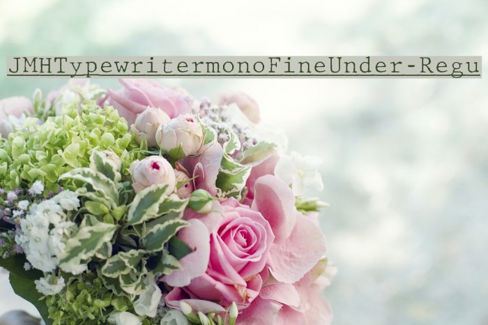 JMHTypewritermonoFineUnder-Regu Font examples