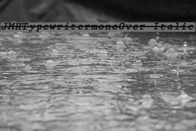 JMHTypewritermonoOver-Italic Font examples