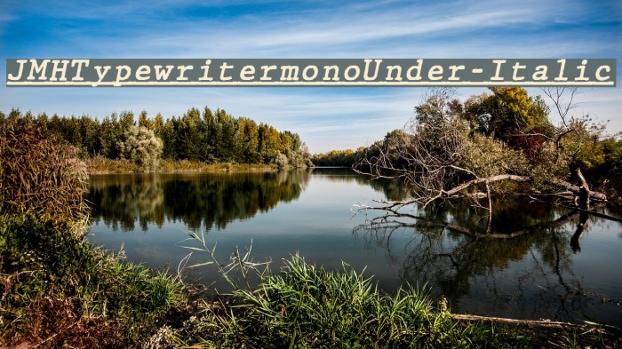 JMHTypewritermonoUnder-Italic Font examples