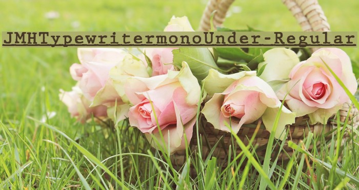 JMHTypewritermonoUnder-Regular Font examples