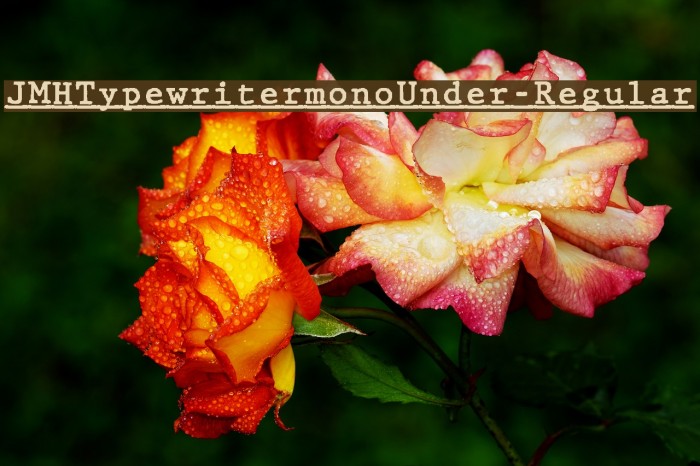 JMHTypewritermonoUnder-Regular Font examples
