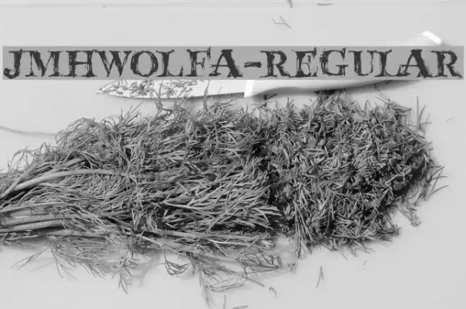 JMHWolfa-Regular Fuentes examples