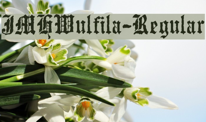 JMHWulfila-Regular Example 1