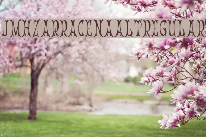 JMHZarracenaAlt-Regular Example 2