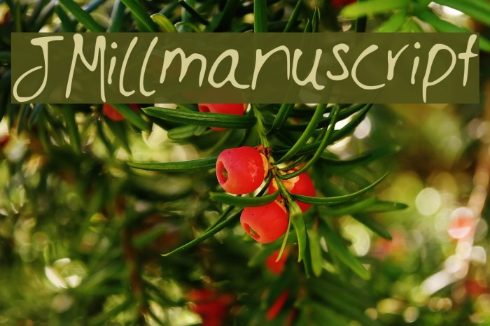 JMillmanuscript Example 1