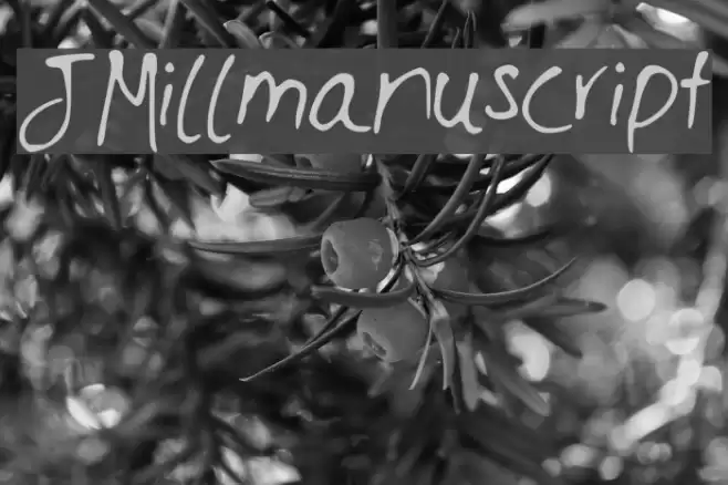 JMillmanuscript Font examples