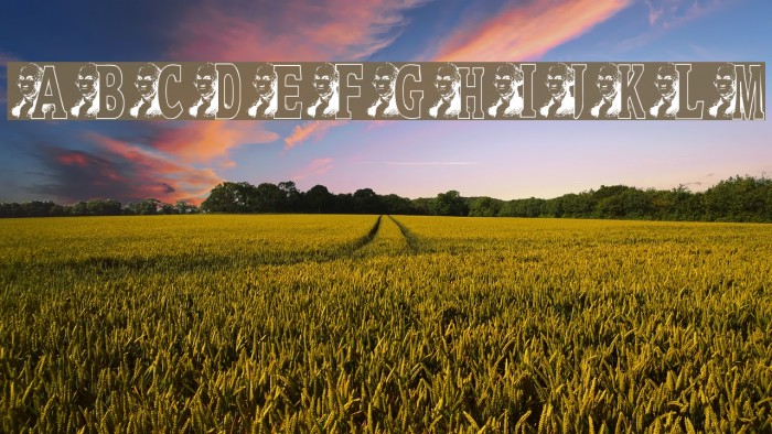 JNK WASHINGTON Example 1