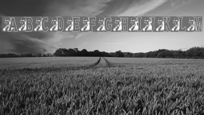 JNK WASHINGTON Font examples