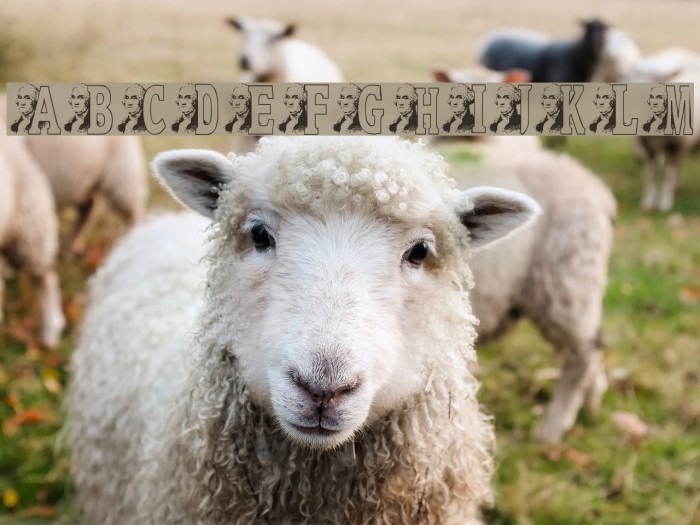 JNK WASHINGTON Example 2