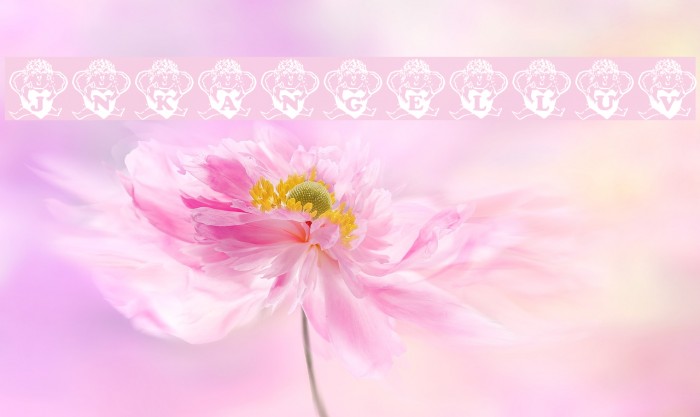 JNKANGELLUV Font examples