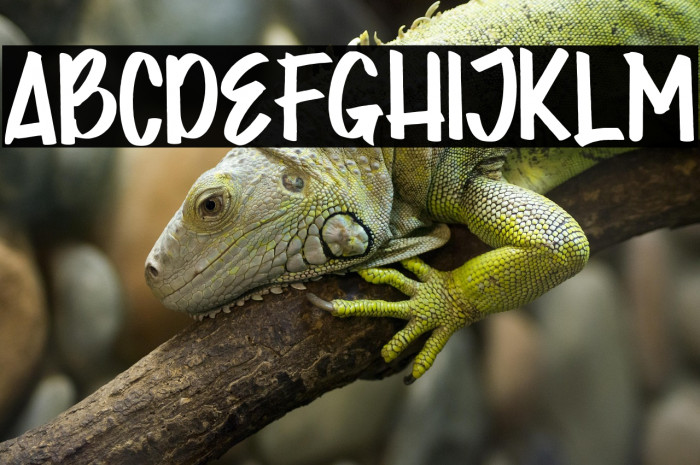 JOKOWI PRABOWO Example 1