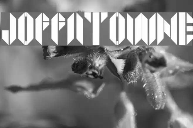 JOPPATOWNE Font examples