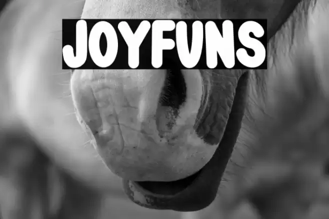 JOYFUNS Font examples